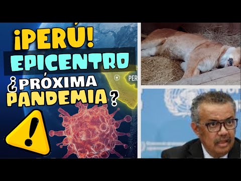 ¿PERÚ EPICENTRO DE UNA PRÓXIMA PANDEMIA? - SE REGISTRA MUERTE DE LEONA