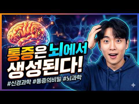 2장 통증의 작용