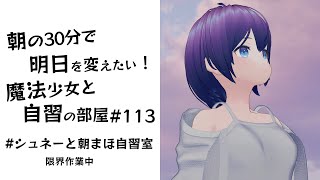 【朝活】朝の30分で明日を変えたい！魔法少女と自習の時間 #113  #シュネーと朝まほ自習室