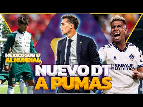 DIEGO ALONSO CERCA DE PUMAS | EFRAÍN ÁLVAREZ A EUROPA | ALMADA RECLAMA A LA LIGA MX