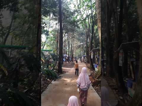 Taman 2 BSD Tangsel Rimbun Pohon #tangsel #park #garden