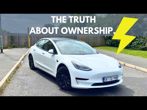 You Don’t Believe the Tesla Model 3 and Model Y Hype Right?