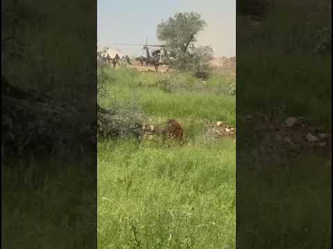 חילוץ תחת אש בדרום לבנון: תקיפת רחפני נפץ