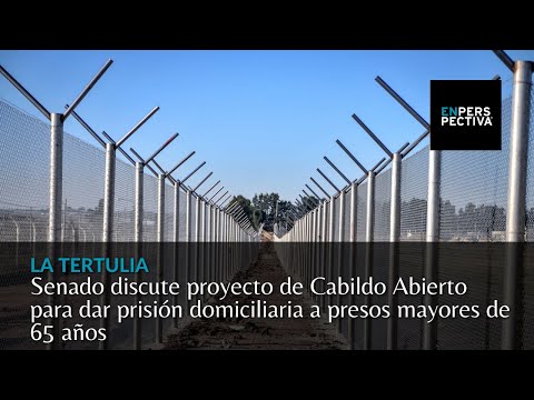 Senado discute proyecto de Cabildo Abierto para dar prisión domiciliaria a presos mayores de 65 años