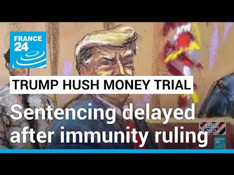 Judge delays Trump’s hush money sentencing after immunity ruling • FRANCE 24 English