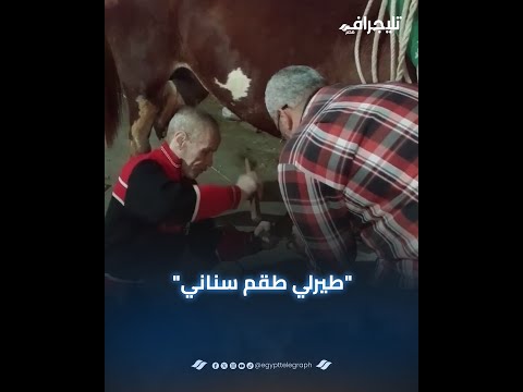 "طيرلي طقم سناني".. أغرب مواقف عاشها بيطار البحيرة أقدم "جزمجي خيول" بدمنهور