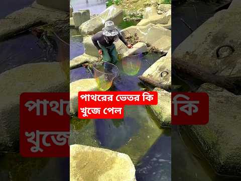 পাথররের ভেতর কি খুজে পেল।#new #fishing #fish #china #chinatravel #islam #islamic #shorts #short