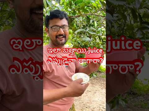 చెట్టుమీద పండిన బత్తాయితో Juice చేస్తున్నాము #sweetlime #farming #oraganic #freshjuice #shorts