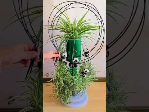 Tech and recycle pot for plants spider flowers #diy ##flowers #garden #2025