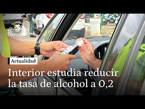 Interior estudia rebajar la tasa máxima de alcohol permitida al volante de 0,5 a 0,2