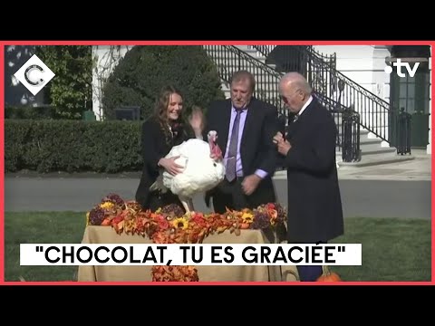 Pépite & Chocolat, libérées délivrées - Infos Express - C à vous - 22/11/2022
