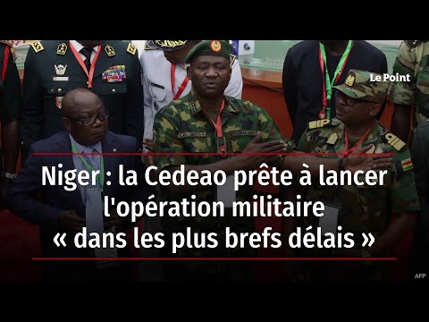 Niger : la Cedeao prête à lancer l'opération militaire « dans les plus brefs délais »
