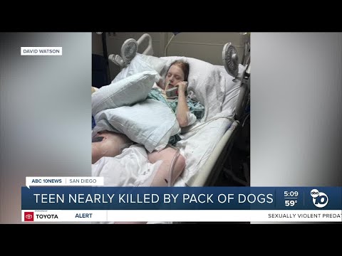 San Diego teen mauled by pack of dogs, suffers life-threatening injuries