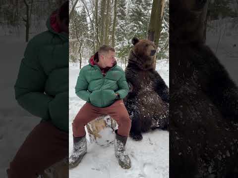 WATCH: Big friendly bear just wants to hold hands #shorts