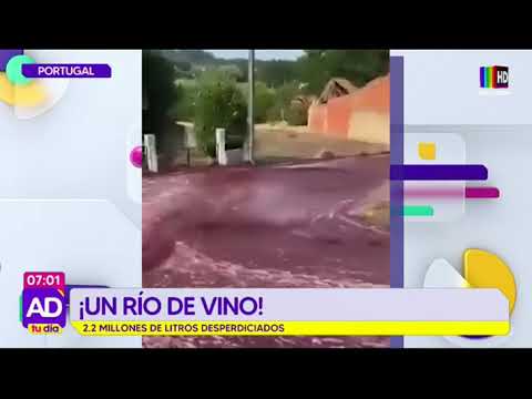 Un río de vino: 2.2 millones de litros de la bebida desperdiciados