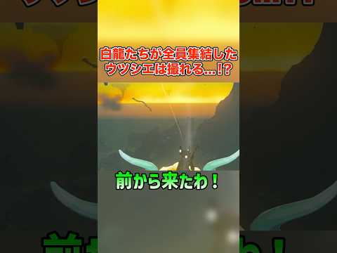 四龍を１枚の写真に収めることはできる...？【ゼルダの伝説 ティアーズ オブ ザ キングダム】#shorts #ゼルダの伝説 #ティアキン