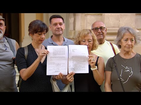 Defensores del ficus piden al Ayuntamiento de Sevilla medidas para mantenerlo vivo