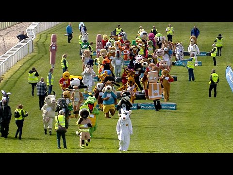 Horse Riding 🐎 The real wacky races! Enjoy some of our favourite moments from mascot races and more on UK courses