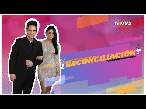 ¿Reconciliación entre Aislinn Derbez y Mauricio Ochmann?