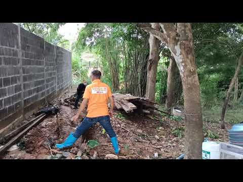หลังบ้านลุงพลสะอาดเรียบร้อยช่า หลังบ้านลุงพลสะอาดเรียบร้อยช่า
