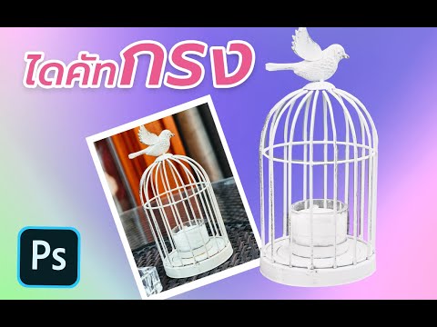 ep127:--ไดคัทภาพกรง-หรือตาราง- ep127:--ไดคัทภาพกรง-หรือตาราง-