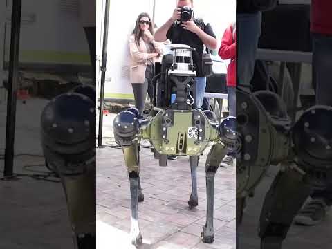 Así es el perro robot policía que controlará el mal uso de los patinetes en Málaga #PerroRobot