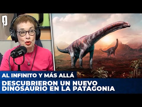 Descubrieron un nuevo dinosaurio en la Patagonia | AL INFINITO Y MÁS ALLÁ con Nora Bär