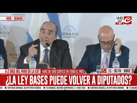 Guillermo Francos expuso en el comienzo del debate de la Ley Bases en el Senado