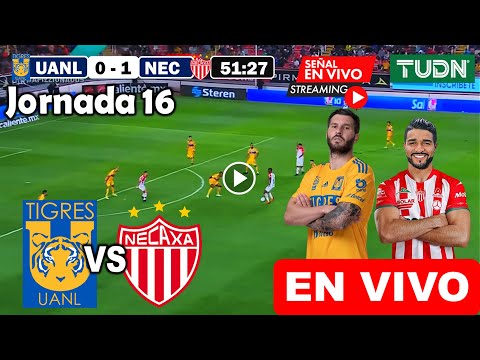 Tigres vs. Necaxa en vivo, donde ver, a que hora juega Tigres vs. Necaxa Liga MX Clausura 2024 hoy