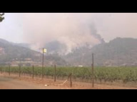 California wildfire evacuee: 'we lost everything'