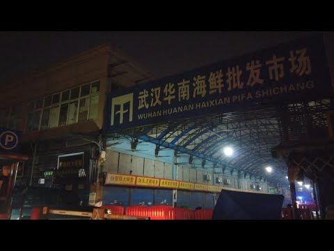 Expertos de la OMS visitan mercado de Wuhan: buscan el origen del COVID-19