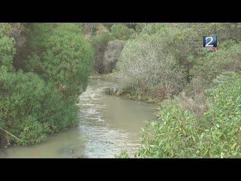 24 JUN 2024 Ministra del Medio Ambiente inaugura pasarela en sector Humedal del El Totoral