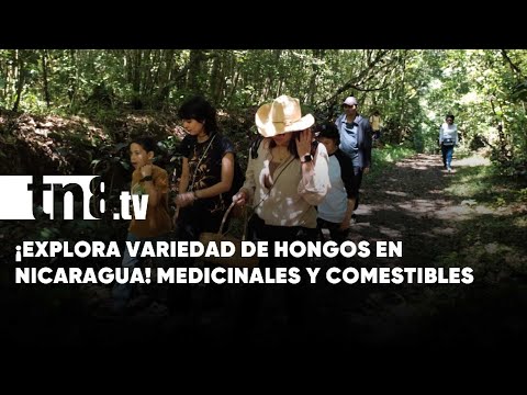 Turistas descubren hongos únicos y deliciosos en el corazón de Nicaragua