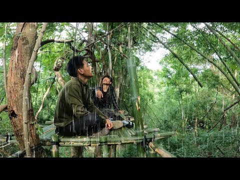 ฝนมากระทันหันสร้างที่พักบนต้น