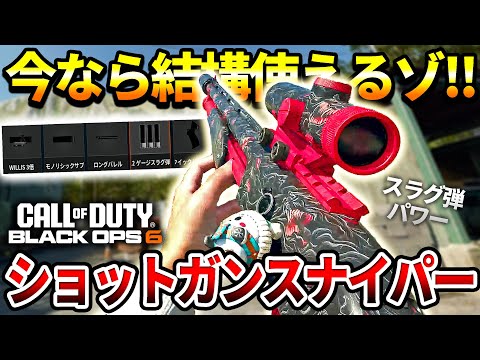 【COD:BO6】遠距離もワンパン⁉『MARINE SP』のスナイパーカスタムがロマン砲で楽しいゾな件【スラグ弾】