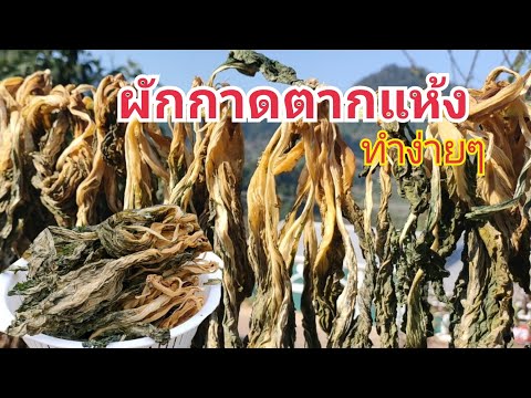 Ep.135-พาดูวิธีทำ-ผักกาดตากแห้ Ep.135-พาดูวิธีทำ-ผักกาดตากแห้