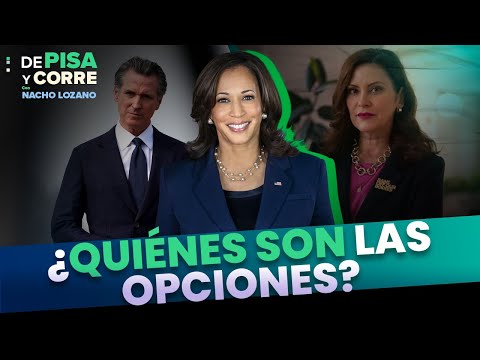 Declinación de Biden: ¿quiénes son las opciones del Partido Demócrata?