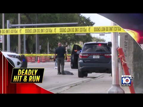 Fatal hit-and-run victim was street vendor in Miami-Dade