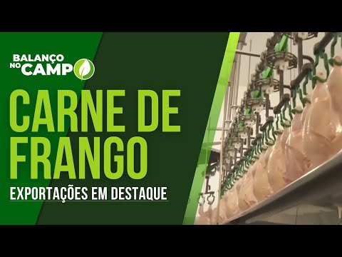 EXPORTAÇÕES DE CARNE DE FRANGO CRESCEM EM SETEMBRO