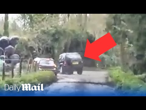 Moment out of control driver ploughs into a hedge during high-speed police chase