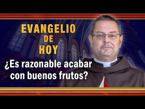 EVANGELIO DE HOY - Domingo 26 de Septiembre  ¿Es razonable acabar con buenos frutos #EvangeliodeHoy
