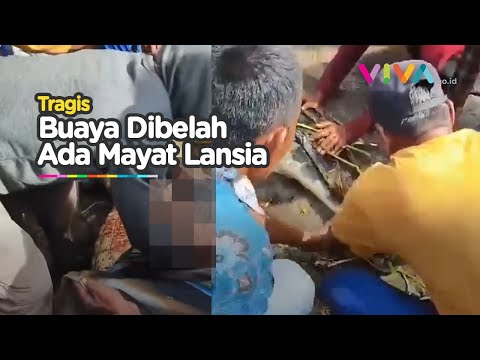 Tragis! Lansia Tewas Dimakan Buaya