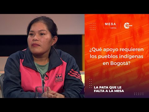 ¿Qué apoyo requieren los pueblos indígenas en Bogotá? | #LaPataQueLeFaltaALaMesa - Mesa Capital