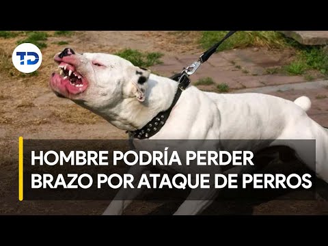 Hombre teme amputación de brazo tras ataque de perros en San Sebastián