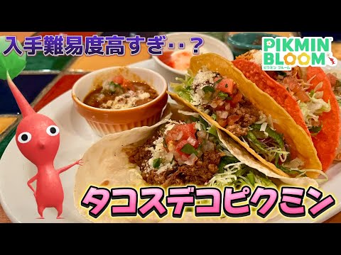 最難関ピクミン登場‥？メキシコ料理店で見つかる『タコスデコピクミン』をゲット！【#ピクミンブルーム / #PikminBloom 】