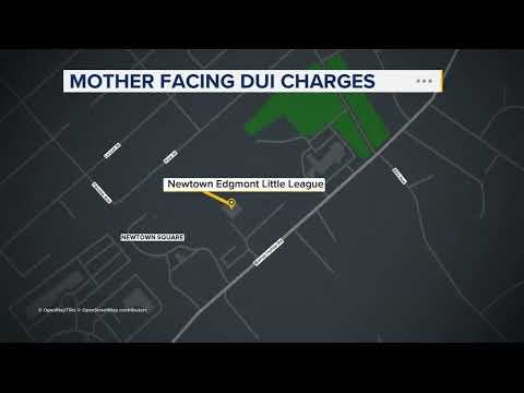 Mother facing DUI charges after allegedly backing into 7-year-old son in baseball field parking lot