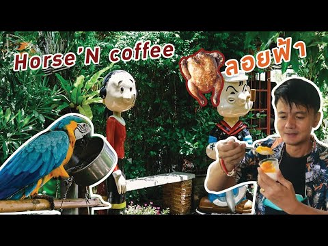 HorseNcoffee&ไก่ลอยฟ้าคาเฟ