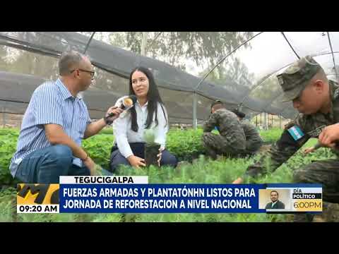 Fuerzas armadas y plantaton listos para jornada de reforestacion a nivel nacional