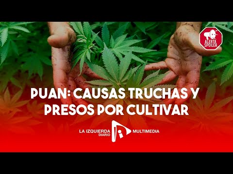 ? CAUSAS TRUCHAS Y PRESOS POR CULTIVAR | Charla con Nicolás Lupin detenido por Sergio Berni en Puan