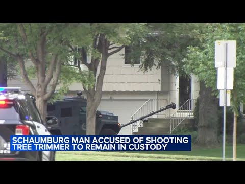 Suspect in Schaumburg shooting of tree trimmer claimed to get messages from space, prosecutors say